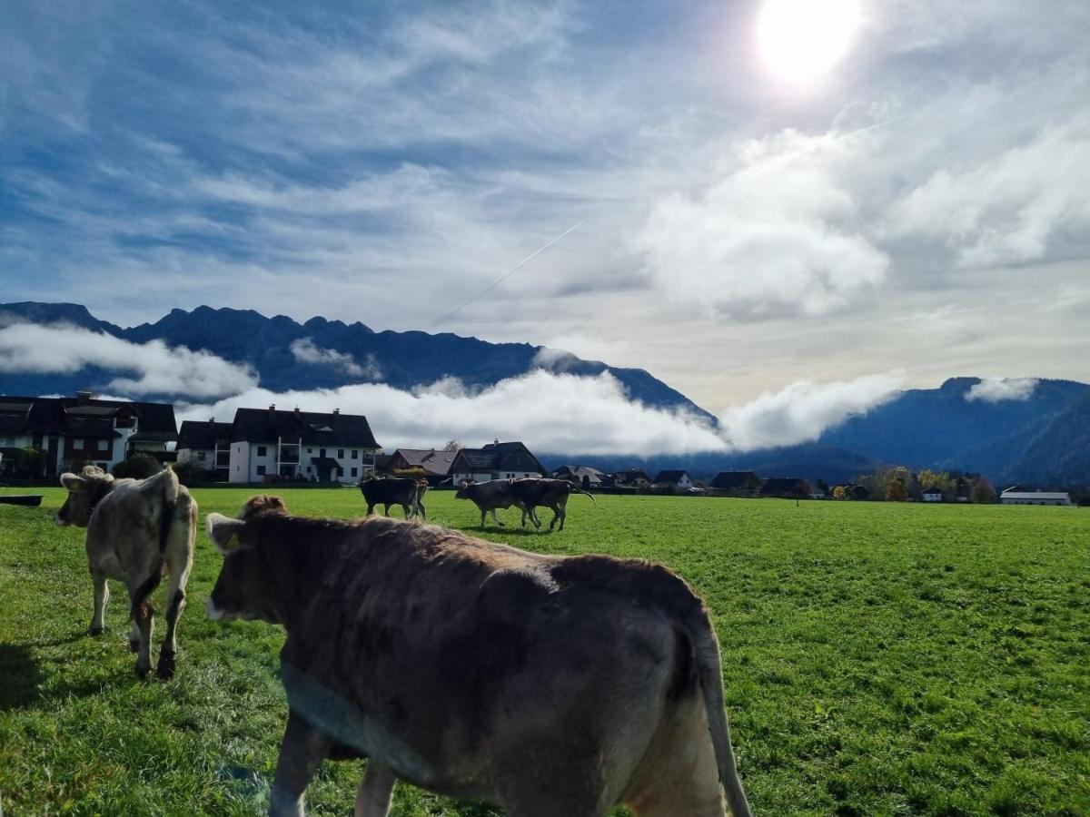 Urlaub Am Bauernhof Bei Familie Steinbrecher Bad Mitterndorf Kültér fotó