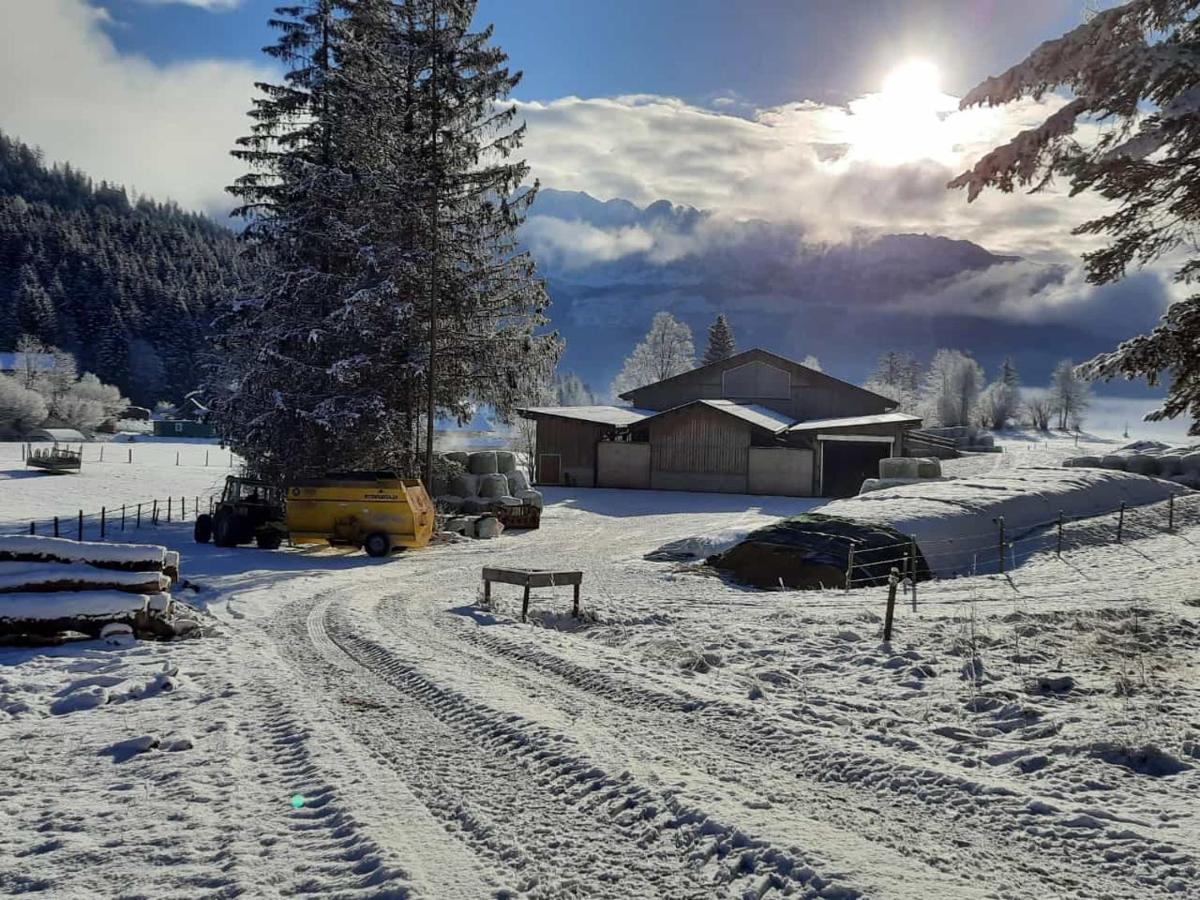 Urlaub Am Bauernhof Bei Familie Steinbrecher Bad Mitterndorf Kültér fotó